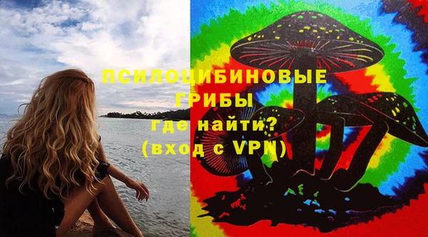 а пвп мука Инта