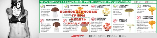 трава Иннополис