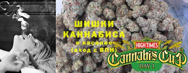 трава Иннополис