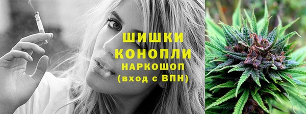 трава Иннополис