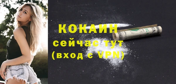 эйфоретик Инсар